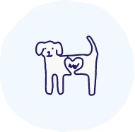 高度医療の紹介